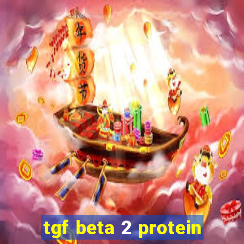 tgf beta 2 protein