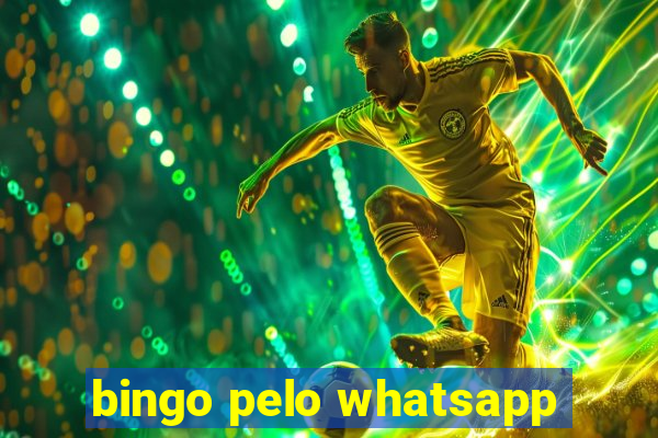 bingo pelo whatsapp