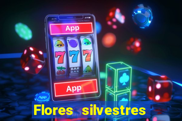 Flores silvestres brasileiras 25