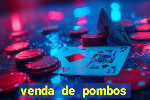 venda de pombos correios olx