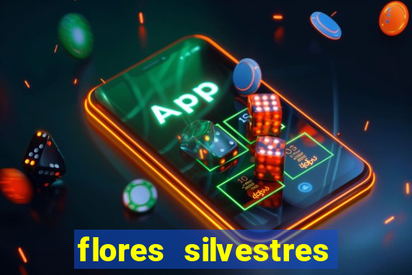 flores silvestres desbravadores desbravadores 25 flores silvestres e seus nomes