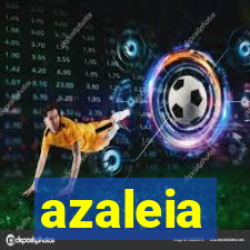 azaleia-br.com