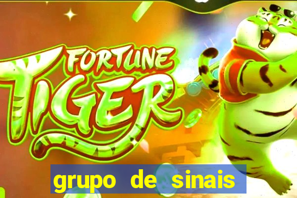 grupo de sinais fortune rabbit