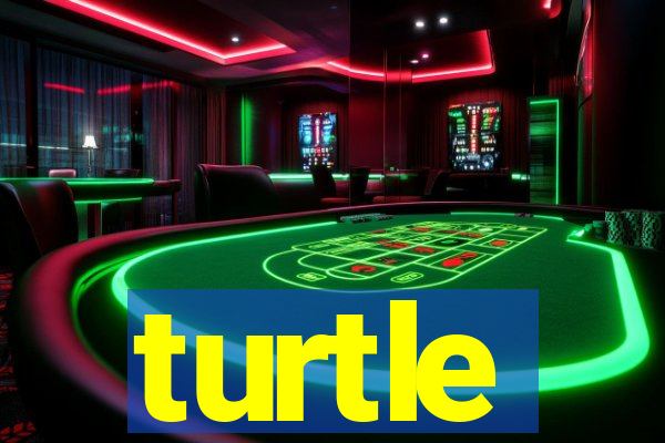 turtle-ty.com