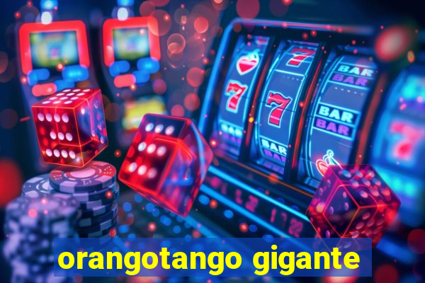 orangotango gigante